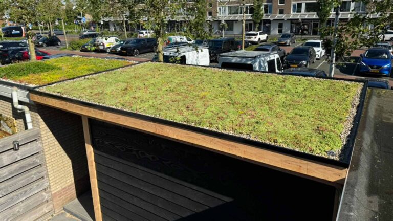 Sedumdak leggen - Groen dak maken - Grasdak - Duurzaam dak 3